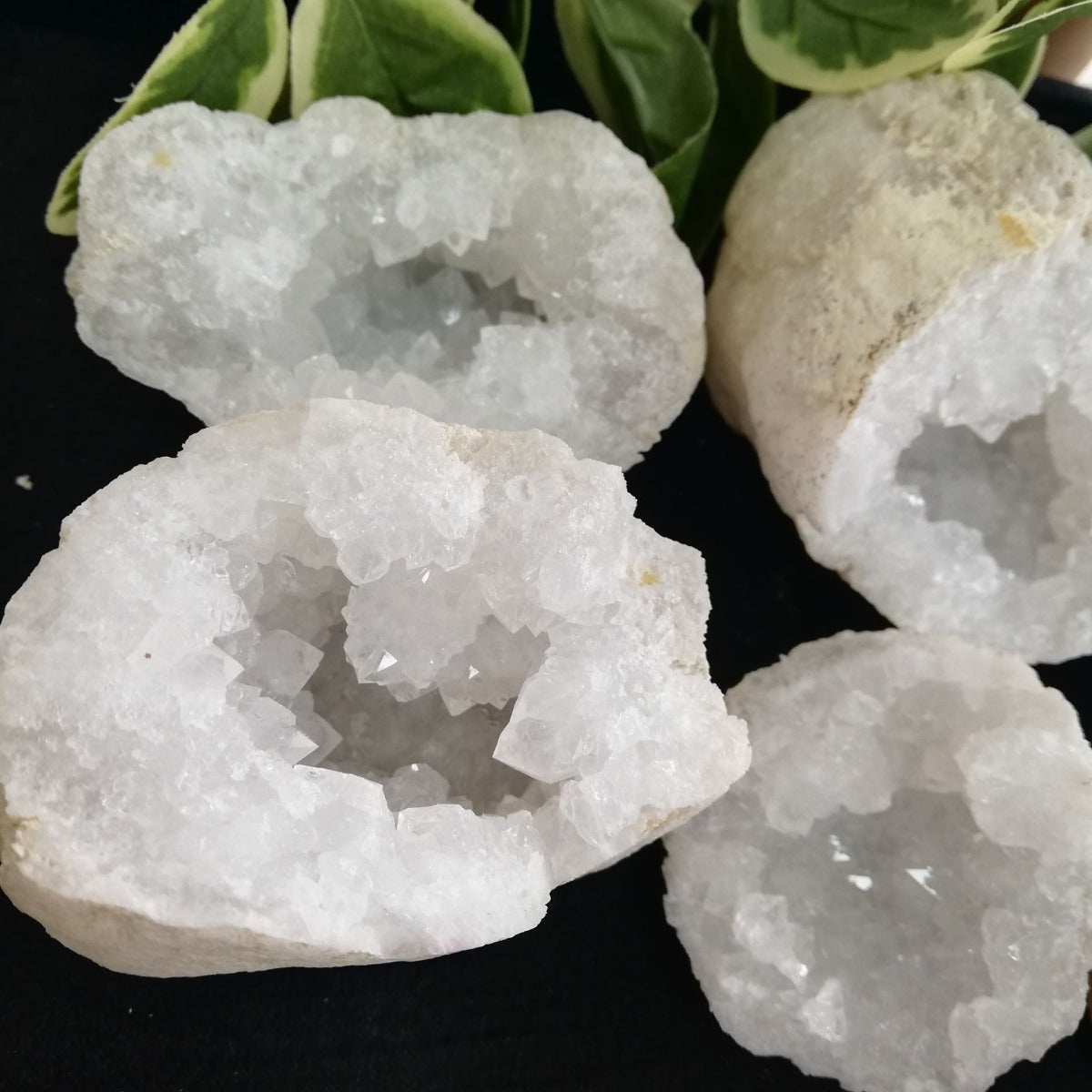 Quartz Geode - Large - Pair Quartz Geode - Large - Pair